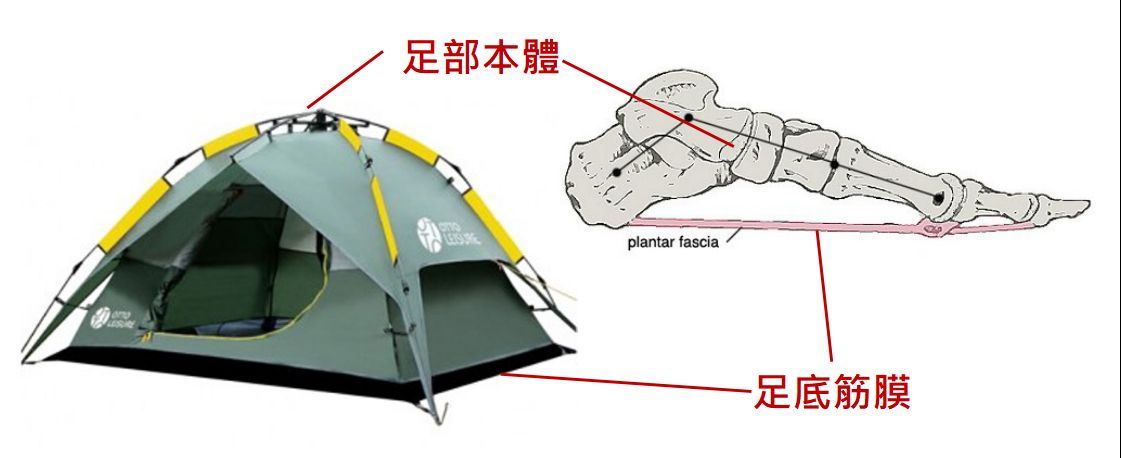 帳篷與足部(圖片取自網路)