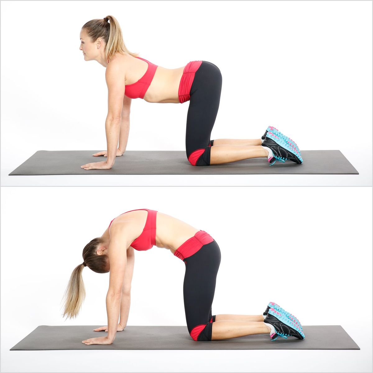 經典的脊椎動作，天天做很舒服阿嘶~~~貓與駱駝式(圖/https://www.popsugar.com/fitness/Relieve-Back-Pain-Cat-Cow-Stretch-8320711)