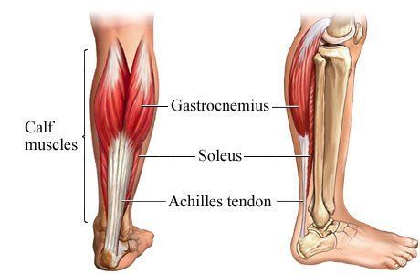 小腿後肌真的好重要阿！(圖/http://almawiclinic.com/2017/03/13/calf-pains-symptoms-causes-treatment/)