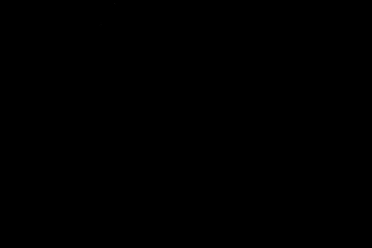 文章插圖